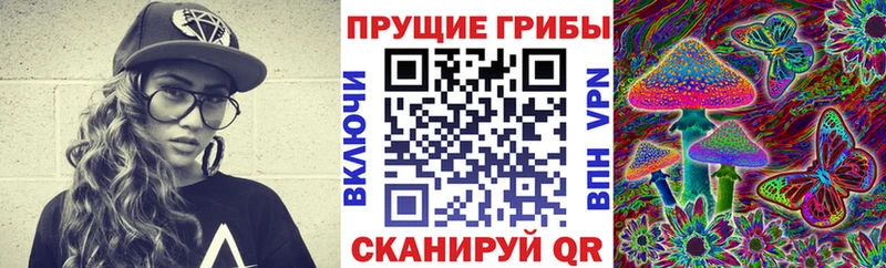 Купить закладки Североморск Псилоцибиновые грибы Psilocybine cubensis